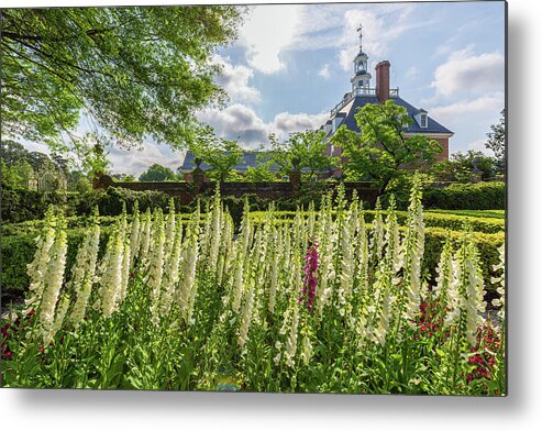 Colonial Williamsburg Metal Print featuring the photograph Garden Flowers at the Governor's Palace by Rachel Morrison