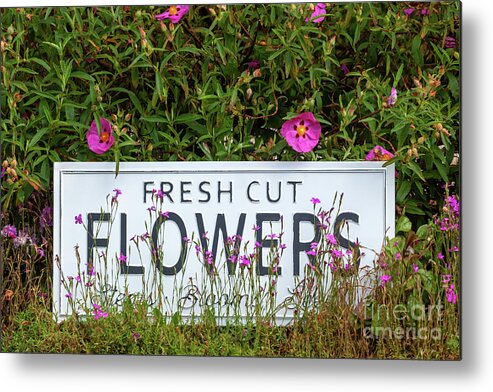 Flowers Metal Print featuring the photograph Garden flowers with fresh cut flower sign 0711 by Simon Bratt