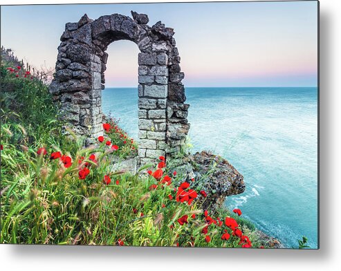 Fortress Metal Print featuring the photograph Gate In the Poppies by Evgeni Dinev