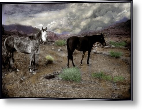Ghost Horse Metal Print featuring the photograph Ghost Horses on a High Plain by Wayne King