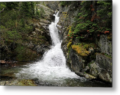 Aster Falls Metal Print featuring the photograph Glacier National Park - Aster Falls by Richard Krebs