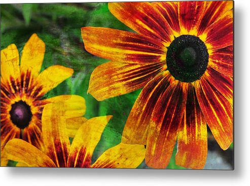 Adorned Metal Print featuring the photograph Gloriosa Daisy by Jamart Photography