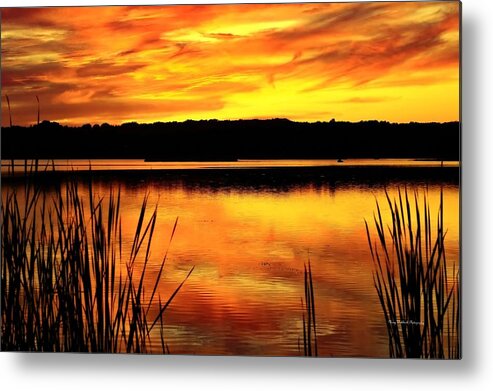 Sunset Metal Print featuring the photograph Glorious Sunset by Mary Walchuck
