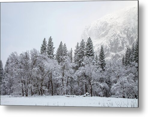 Landscape Metal Print featuring the photograph Glows by Jonathan Nguyen