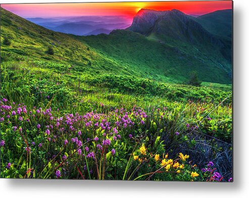 Balkan Mountains Metal Print featuring the photograph Goat Wall by Evgeni Dinev