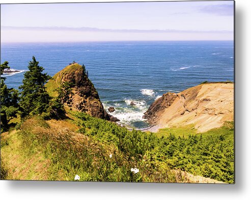 Coastal Metal Print featuring the photograph God's Thumb Cliff from Meadow by Aashish Vaidya