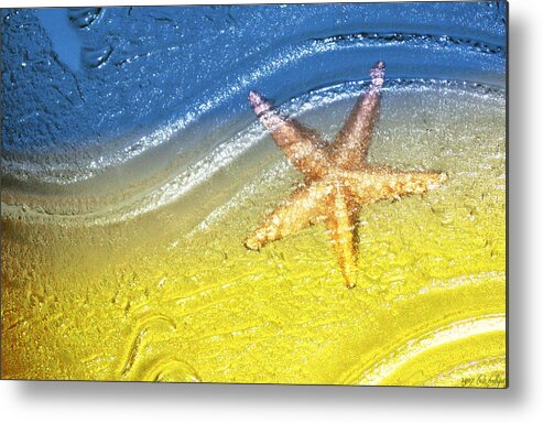 Starfish Metal Print featuring the photograph Going With the Flow by Holly Kempe