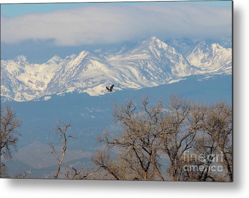 Barr Lake Metal Print featuring the photograph Golden Eagles Mountains Barr Lake by Steven Krull