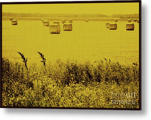 Golden Metal Print featuring the photograph Golden Fields by Mary Mikawoz