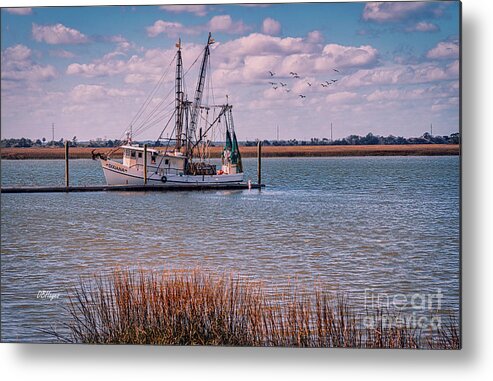  Metal Print featuring the photograph Golden Isles Marine PhotoArt by DB Hayes