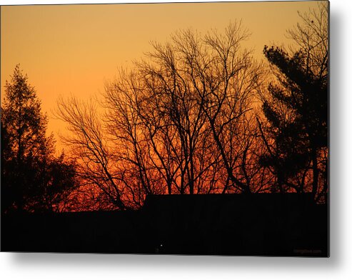 Sunrise Metal Print featuring the photograph Golden Morning February 8 2021 by Miriam A Kilmer