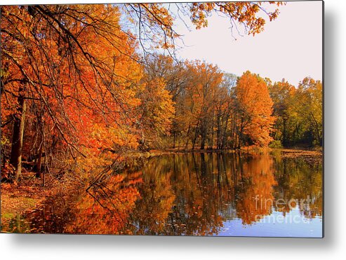 Fall Metal Print featuring the photograph Golden Reflection by Lennie Malvone