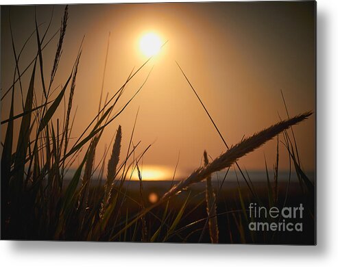 Sunset Metal Print featuring the photograph Golden sunset by Chris Bee