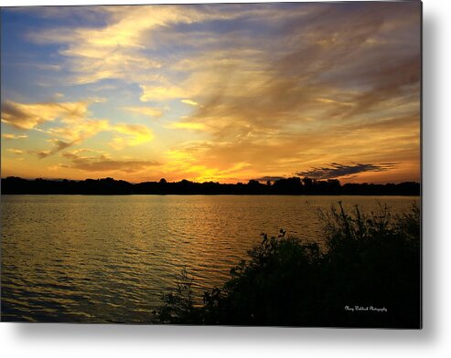 Sunset Metal Print featuring the photograph Golden Sunset by Mary Walchuck