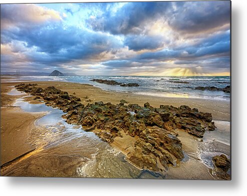 Winter Storm Metal Print featuring the photograph Golden Winter Storm by Beth Sargent