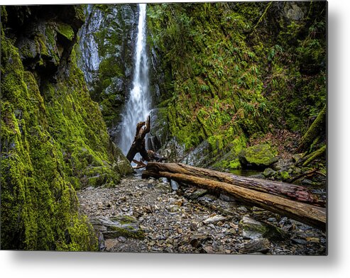 Waterfalls Metal Print featuring the photograph Goldstream Park Waterfalls by Bill Cubitt