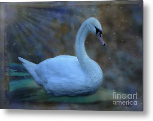 Swan Metal Print featuring the photograph Graceful Mute Swan by Yvonne Johnstone