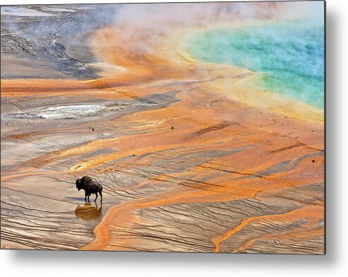Yellowstone National Park Metal Print featuring the photograph Grand Reflection by Ann Skelton