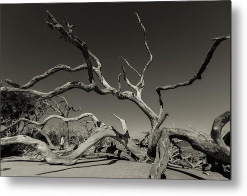 Monochrome Metal Print featuring the photograph Grasping by Joseph Hawk