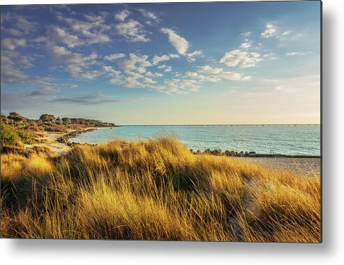 Grass Metal Print featuring the photograph Grass on the dunes, Vada white sand beach . Rosignano, Tuscany, by Stefano Orazzini