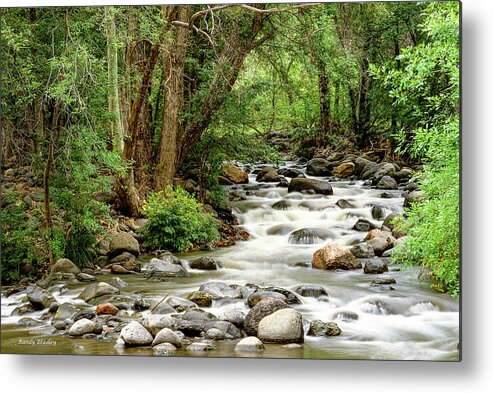 Usa Metal Print featuring the photograph Grasshopper Point by Randy Bradley