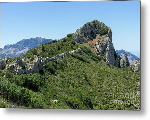 Mountains Metal Print featuring the photograph Green expanse and ascent to the crest by Adriana Mueller