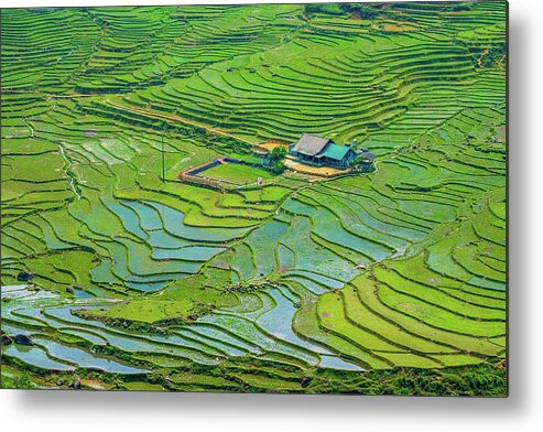 Black Metal Print featuring the photograph Green Field Terraces by Arj Munoz