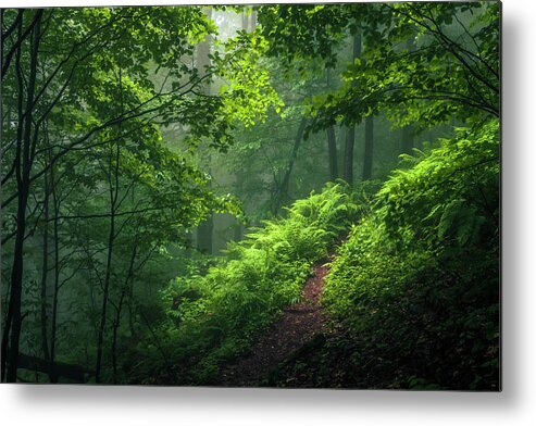 Mountain Metal Print featuring the photograph Green Forest by Evgeni Dinev