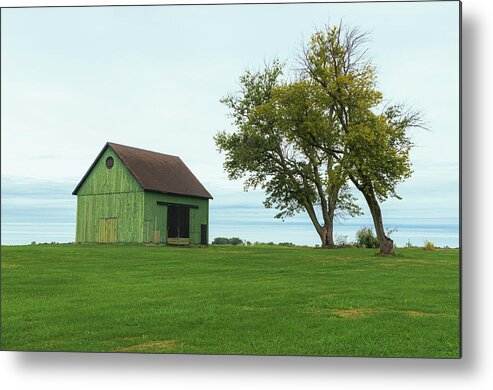 Wood Metal Print featuring the photograph Green on Green by George Strohl