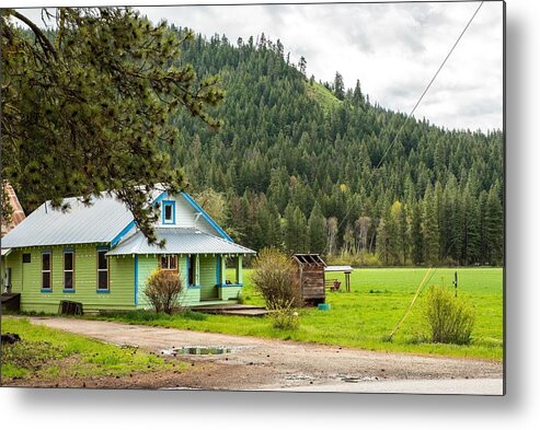 Green On Green Metal Print featuring the photograph Green on Green by Tom Cochran