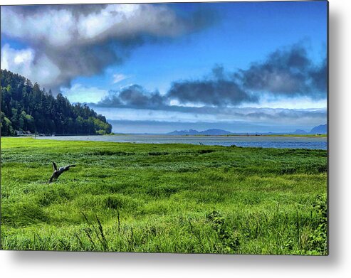 Landscape Metal Print featuring the digital art Green Reed Sea by Chriss Pagani