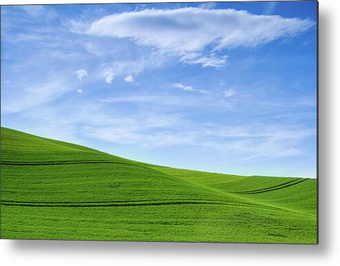 Palouse Metal Print featuring the photograph Greens and blues by Kunal Mehra