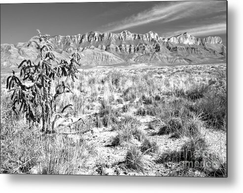 Guadalupe Metal Print featuring the photograph Guadalupe Mountains Salt Basin Dune Landscape Black And White by Adam Jewell