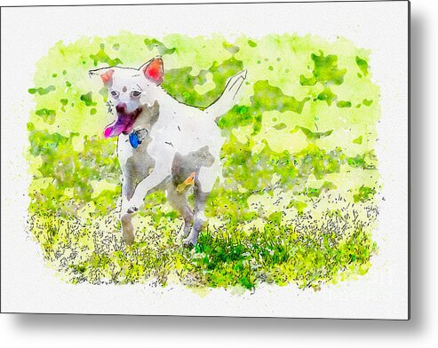 Dog Metal Print featuring the digital art Happy Dog by Matthew Nelson