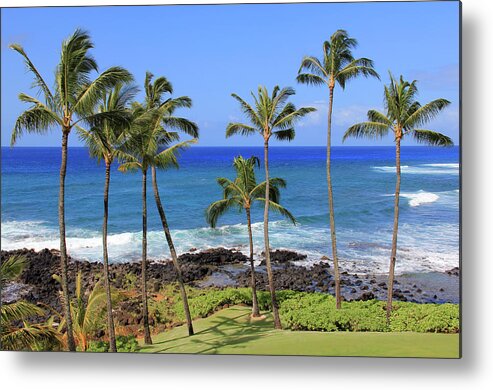 Trees Metal Print featuring the photograph Hawaiian Palms by Robert Carter