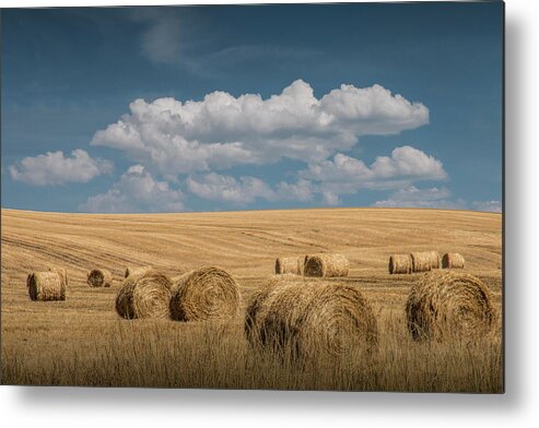 Art Metal Print featuring the photograph Hay Bales of Straw during Summer in a Harvest Field by Randall Nyhof