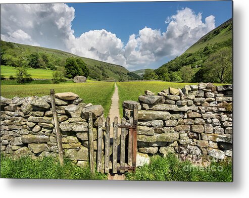 Uk Metal Print featuring the photograph Hay Meadows, Muker, Swaledale by Tom Holmes Photography
