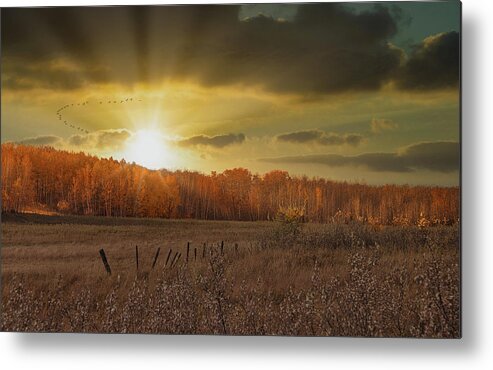 Fall Metal Print featuring the photograph Heading South For the Winter by Phil And Karen Rispin