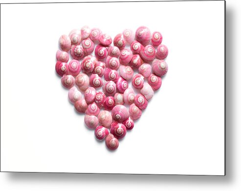 Animal Shell Metal Print featuring the photograph Heart Made Of Pink Shells On White Background by Lifeispixels