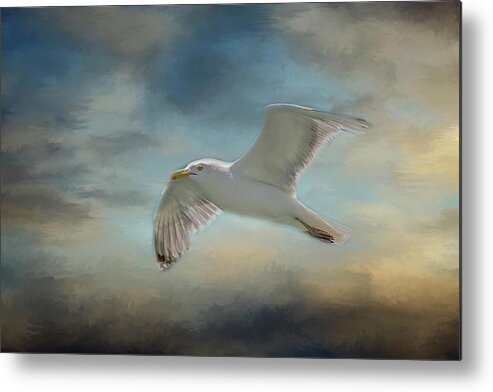 Seagull Metal Print featuring the photograph Heavenly Flight by Cathy Kovarik