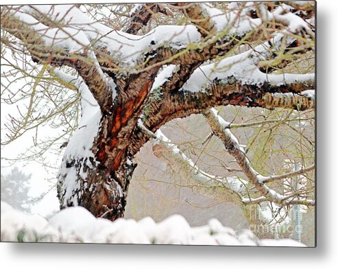 Trees Metal Print featuring the photograph Heavy Weight by Kimberly Furey