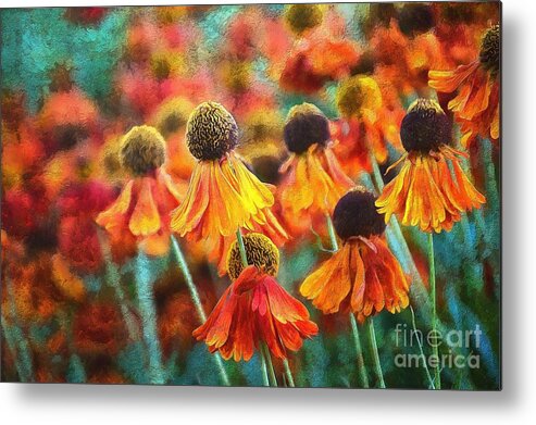 Helenium Metal Print featuring the photograph Helenium Hula by Sea Change Vibes