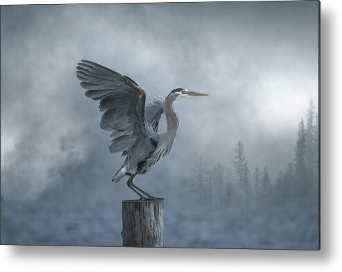 Great Blue Heron Metal Print featuring the photograph Heron in the Haze by Joy McAdams