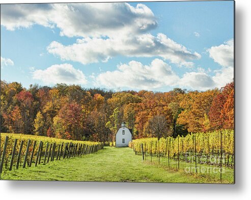 Lake Ontario Metal Print featuring the photograph Hidden Bench by Marilyn Cornwell