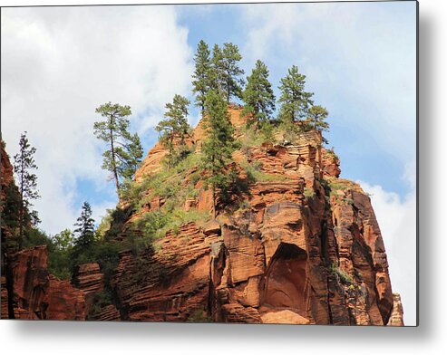 Landscape Metal Print featuring the photograph High Above the Canyon by Robert Carter