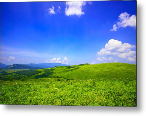 Grass Metal Print featuring the photograph Highland by Char