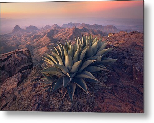 Chisos Mountains Metal Print featuring the photograph Highly Placed by Slow Fuse Photography