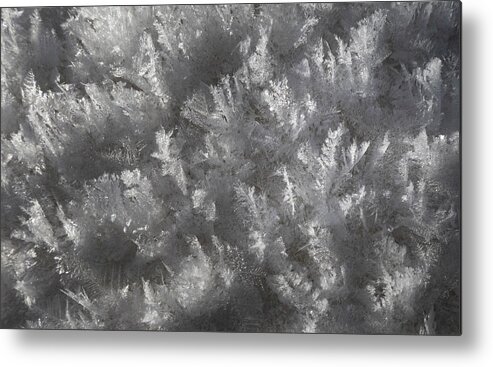 Hoarfrost Metal Print featuring the photograph Hoarfrost Abstract by Phil And Karen Rispin
