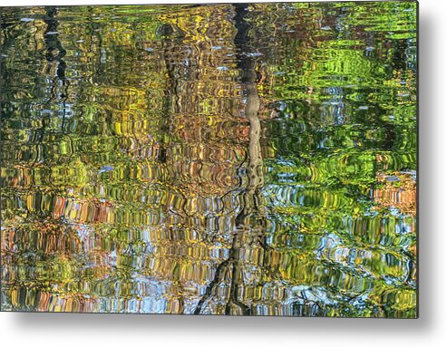 Central Park Metal Print featuring the photograph Homage to Monet by Cate Franklyn