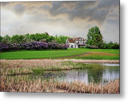 Solberg Metal Print featuring the photograph Home is Where the Lilacs Bloom - 1 of 2 - abandoned Solberg homestead in rural ND by Peter Herman